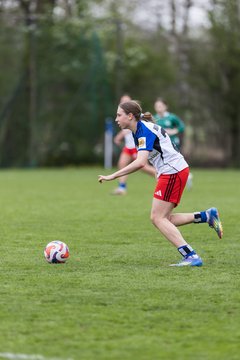 Bild 387 - wBJ Hamburger SV - SV Werder Bremen : Ergebnis: 2:2
